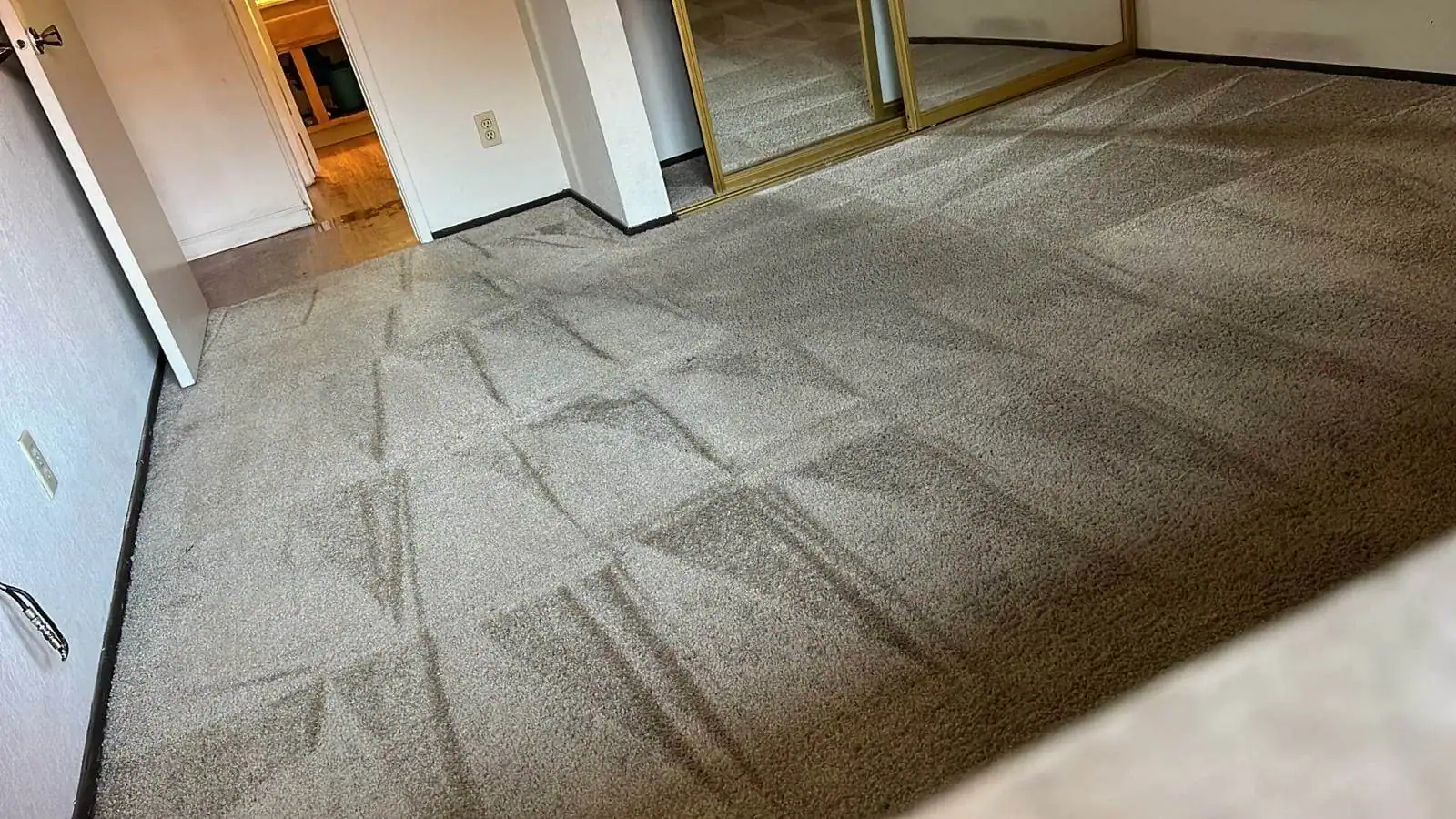 Freshly cleaned carpet with visible vacuum lines in a San Jose bedroom