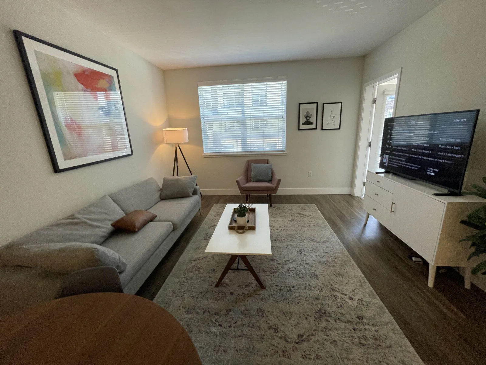 Tidy living room with gray sofa, pink accent chair, and area rug