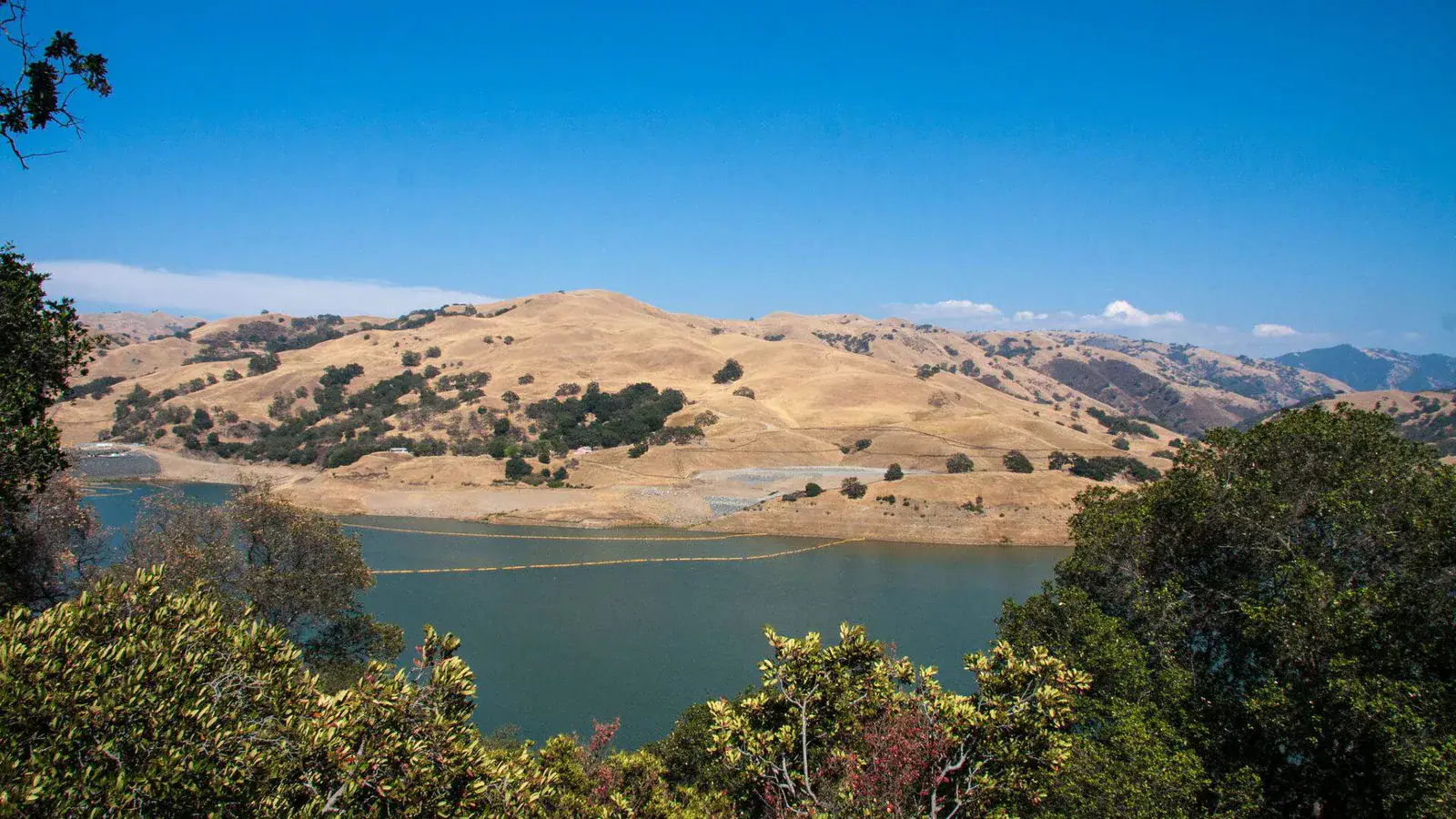 Reservoir framed by golden rolling hills and oak trees near Milpitas, California.