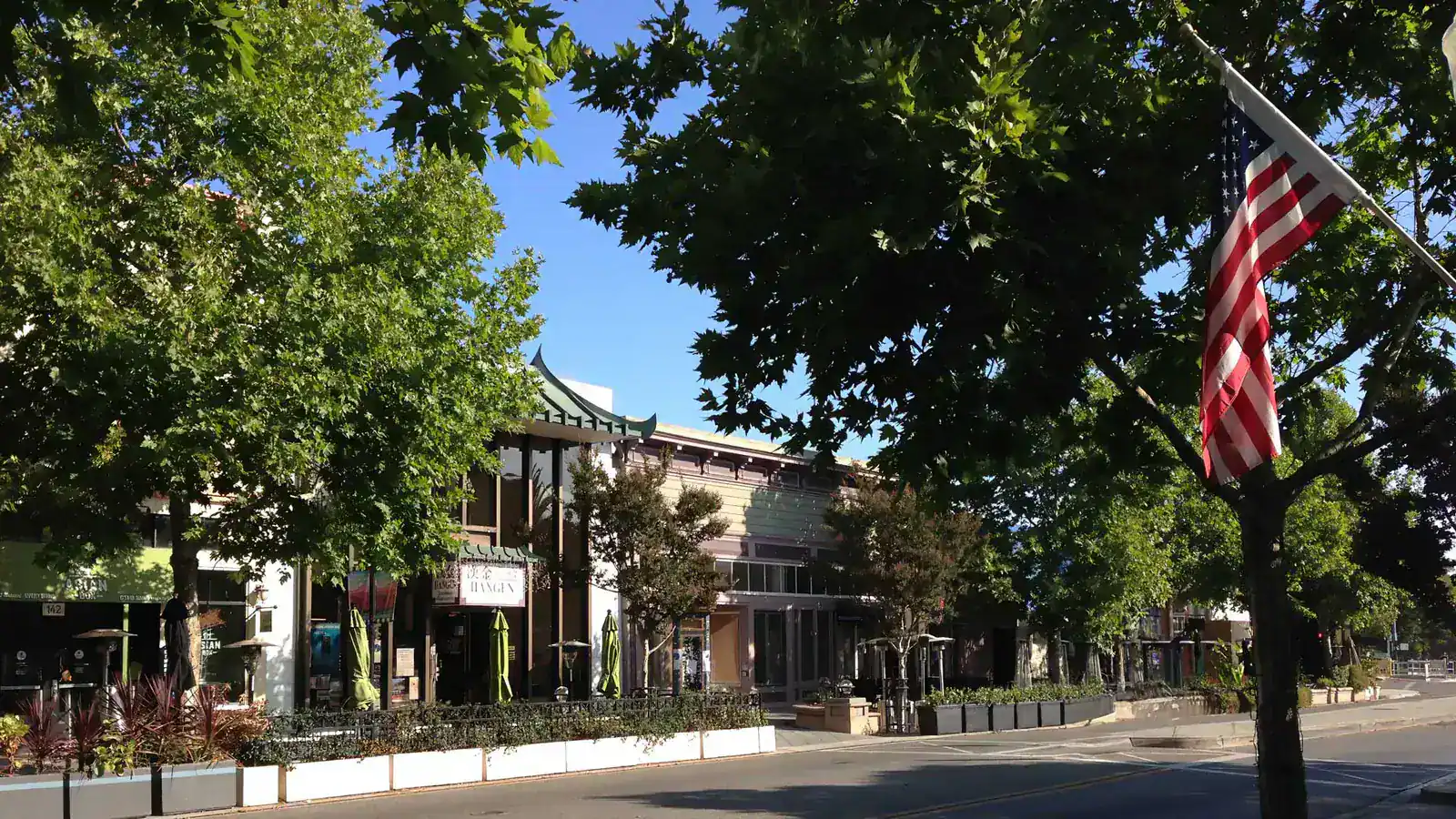 Downtown Mountain View street lined with shops, trees, and an American flag on a sunny day.