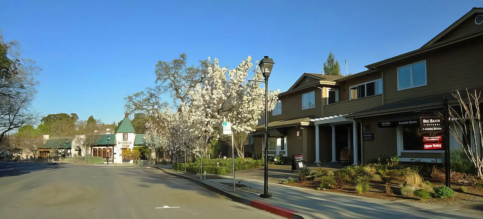 Saratoga village street with blossoming white trees and small shopfronts under a blue sky.