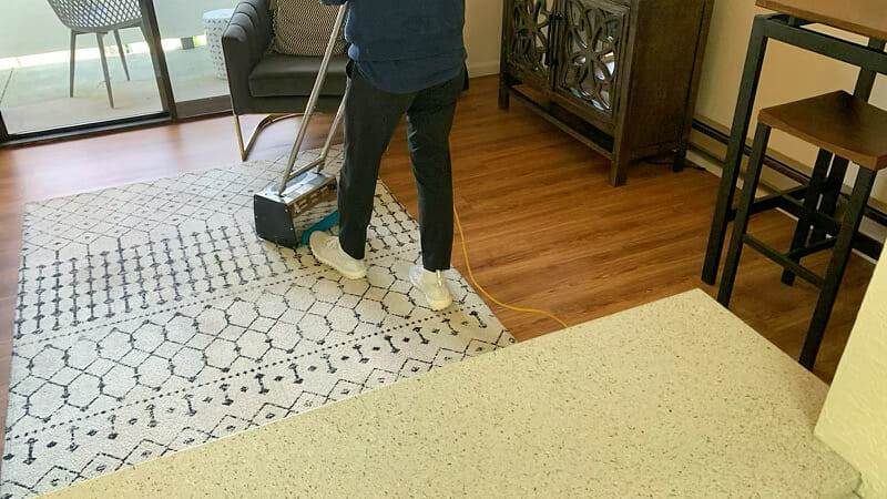 rug, living room
