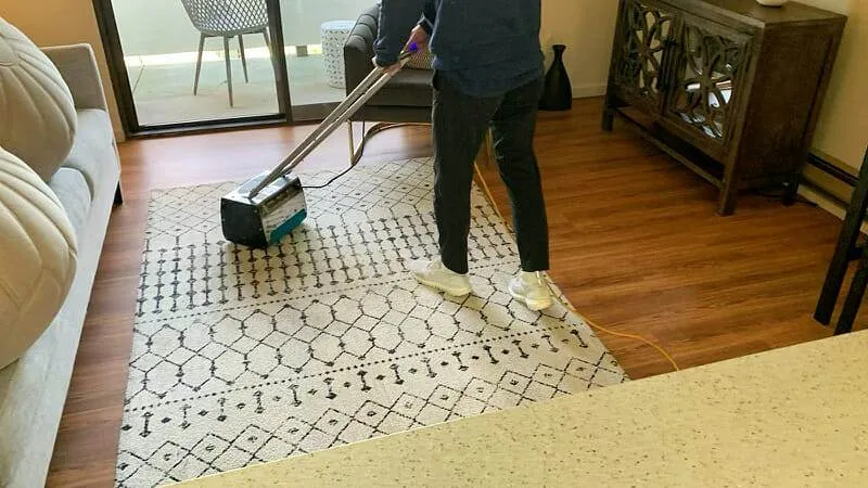 Man, cleaning, rug, living room.