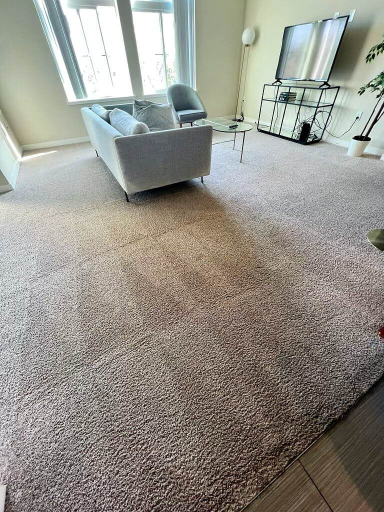 Living room, carpet, cleaned.