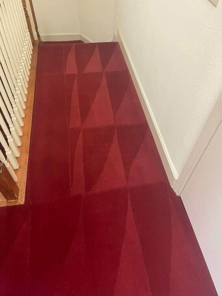 A commercial carpeted hallway with stairs.