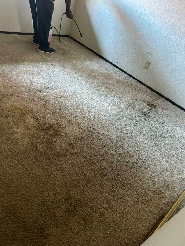 A man cleaning a carpet with chocolate stains in a room.