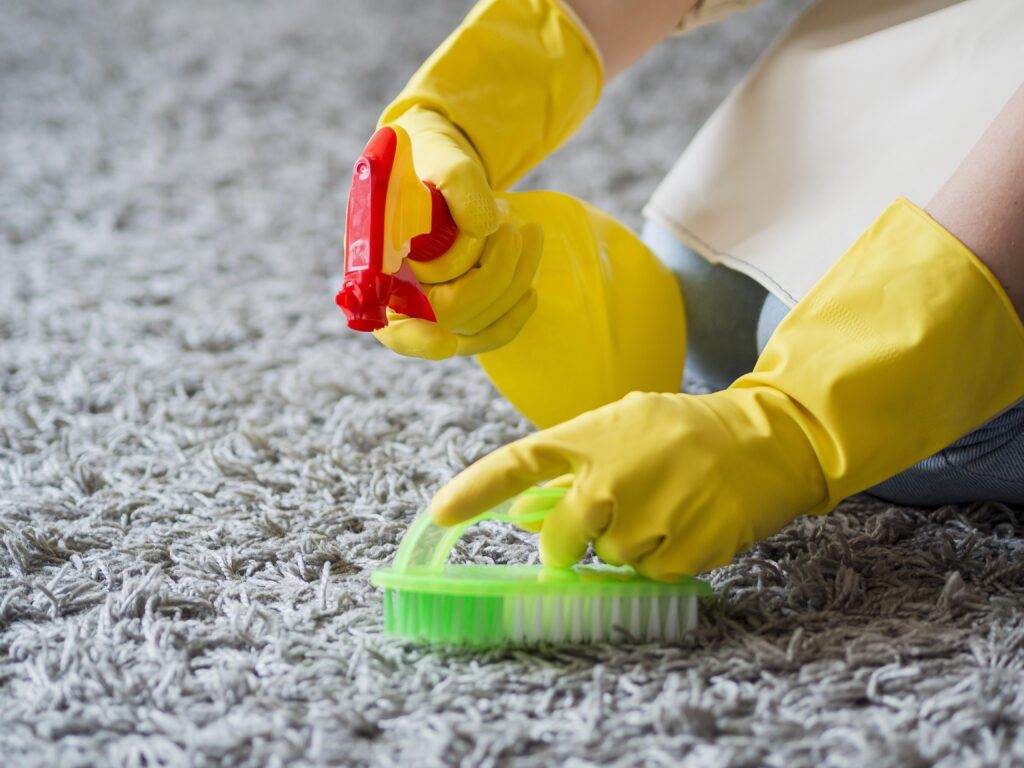 A person wearing yellow gloves cleaning a carpet in their Living Space.