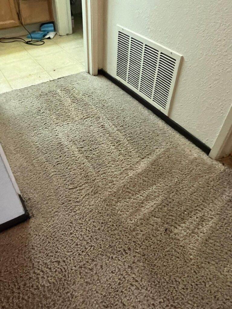 A beige carpeted floor with a wall heating vent and visible vacuum cleaner tracks.