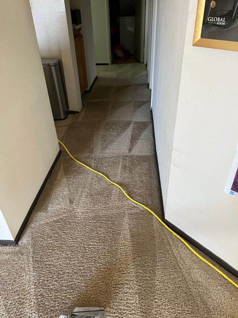 A yellow extension cord running along a textured carpeted floor in a hallway.