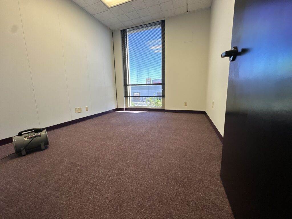 Empty office room with burgundy carpet, a window with blinds, and a briefcase near the door.