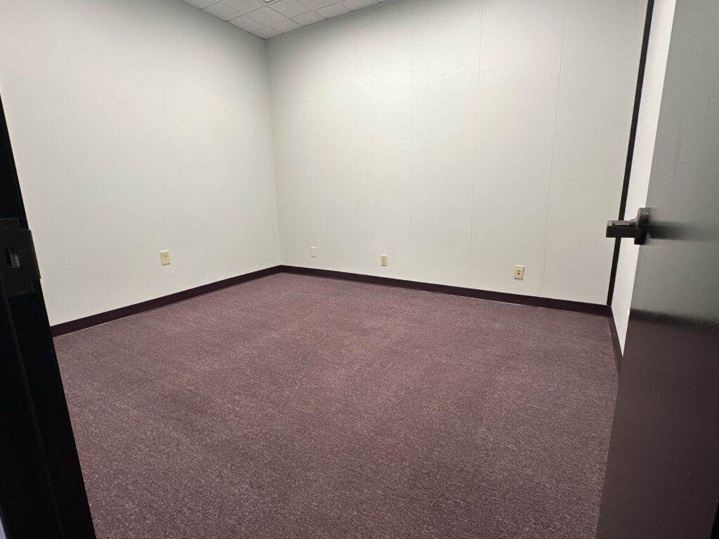 An empty room with purple carpet, white walls, and a closed door.