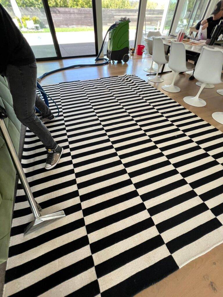 Black and white striped rug in a modern room with people and white chairs in the background.
