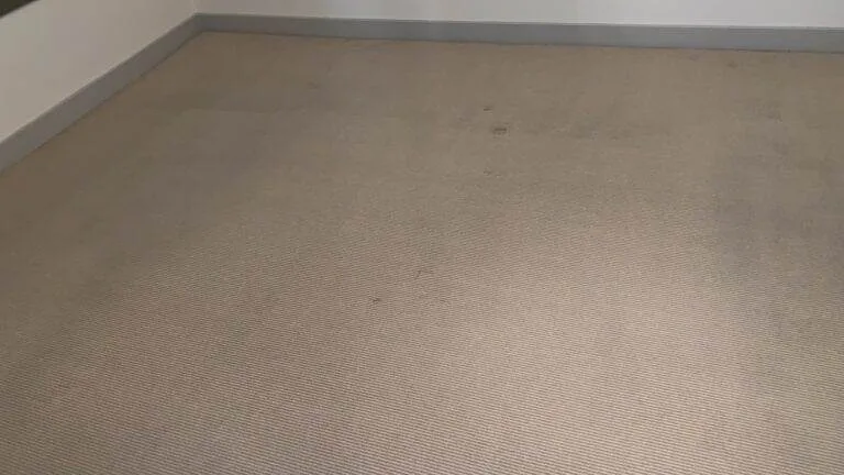 A plain, beige carpeted floor with visible stains and dust, requiring Fremont Carpet Cleaning, is bordered by a white baseboard and a grey wall.