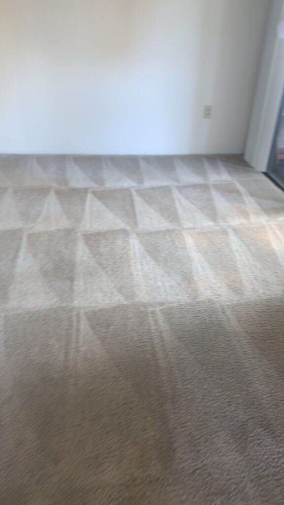 Empty room with sunlight casting patterns on a beige carpeted floor, now refreshed by Los Altos Carpet Cleaning.