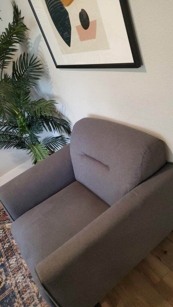 A modern gray sofa in a room with a framed abstract print and a green plant, positioned on a patterned rug over a wooden floor, meticulously maintained by Master Clean Service.