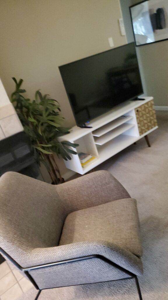 Modern living room featuring a grey couch, a white tv cabinet with a flat-screen tv, and a green potted plant.