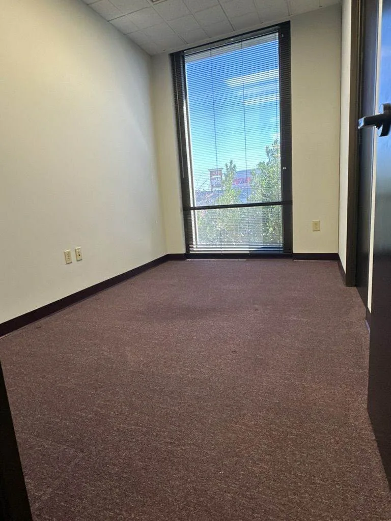 Empty office space with a large window overlooking trees, carpeted floor treated by Los Altos Upholstery Cleaning, and bare white walls.