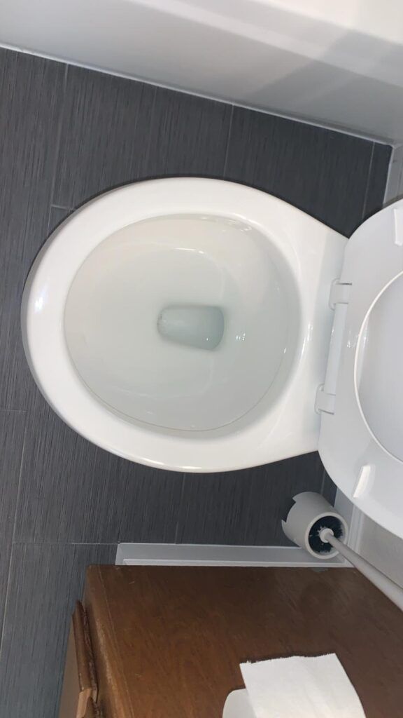 Image of a white toilet with the lid up, set against a gray tiled floor. A toilet paper holder with a roll of toilet paper is visible beside it. Ideal for deep cleaning, ensuring a healthy home during flu season.