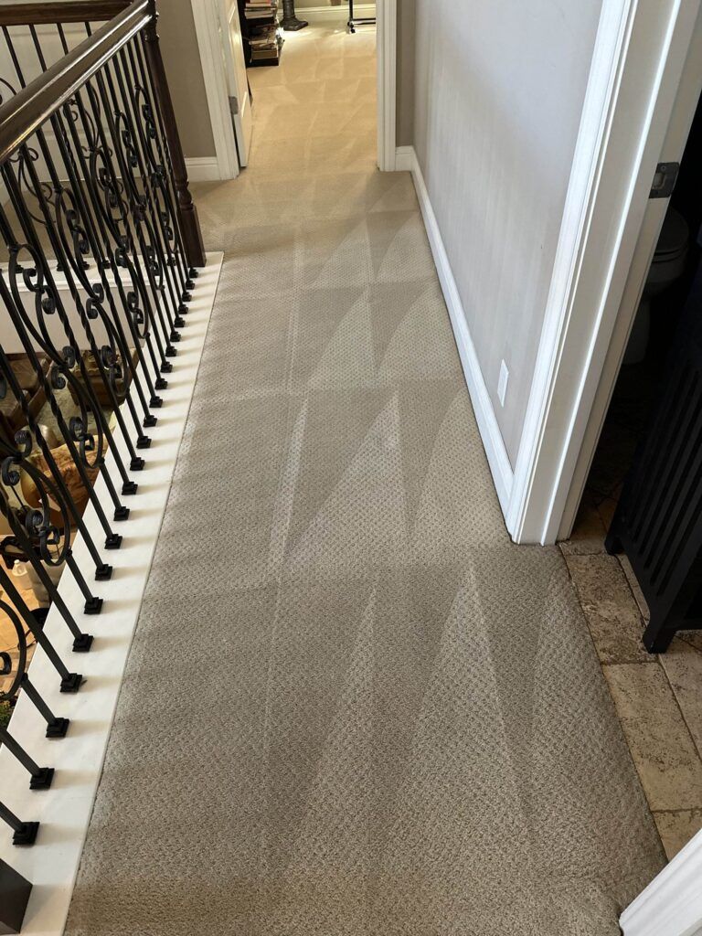 A hallway with beige carpet showing distinct vacuum lines, bordered by a wrought-iron railing and white walls. The hall leads to a room in the distance.