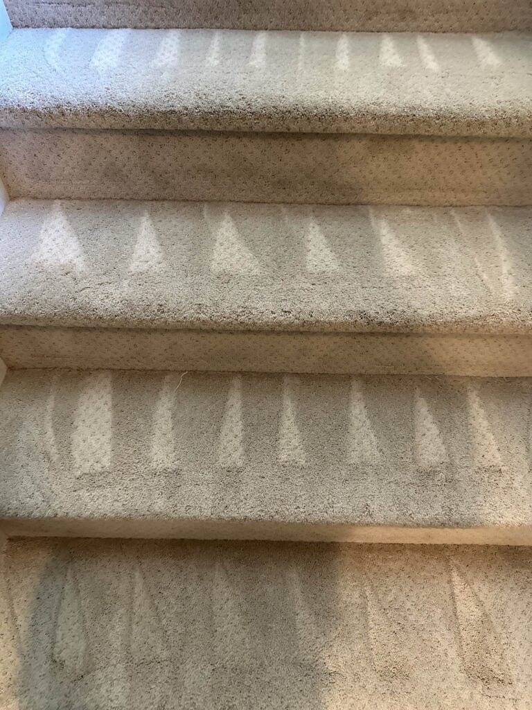 A carpeted staircase displaying vacuum marks in a triangular pattern on each step.