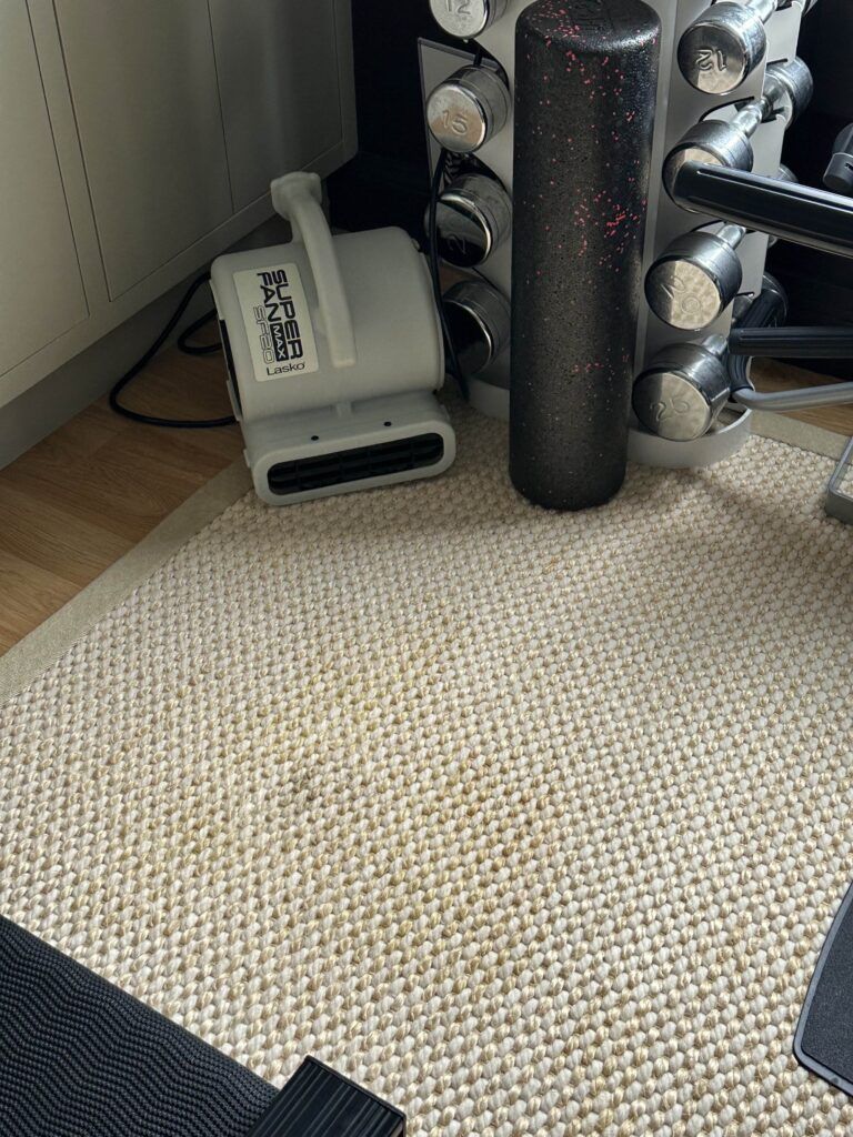 A close-up of a home gym corner showing a white exercise step, a foam roller, and a set of dumbbells on a beige carpet.