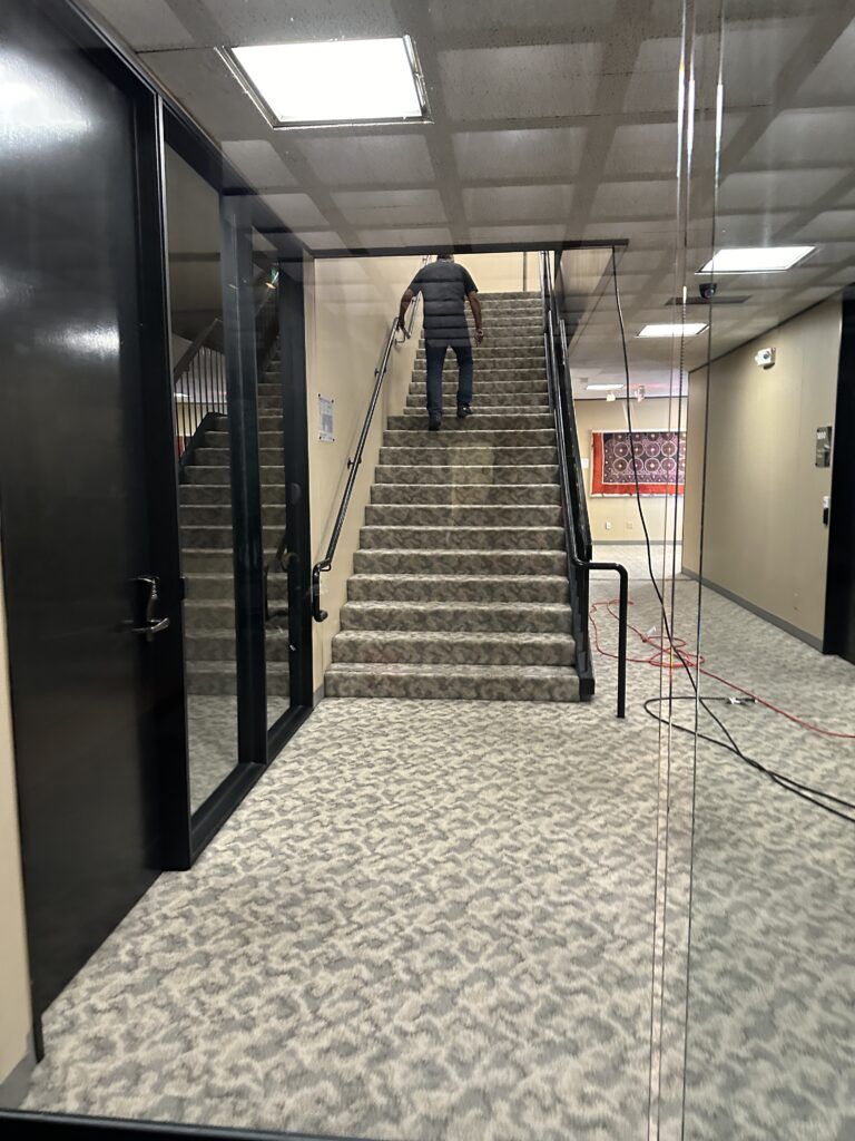 A person wearing a black shirt walks up a carpeted stairwell in an indoor building corridor with glass doors and a patterned rug on the wall.