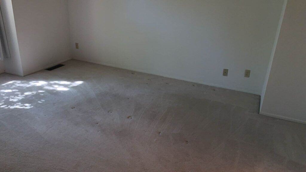 A vacant, dimly lit room with beige carpet having visible indentations. The walls are white, and there are two electrical outlets on the far wall. Sunlight enters from a window on the left.