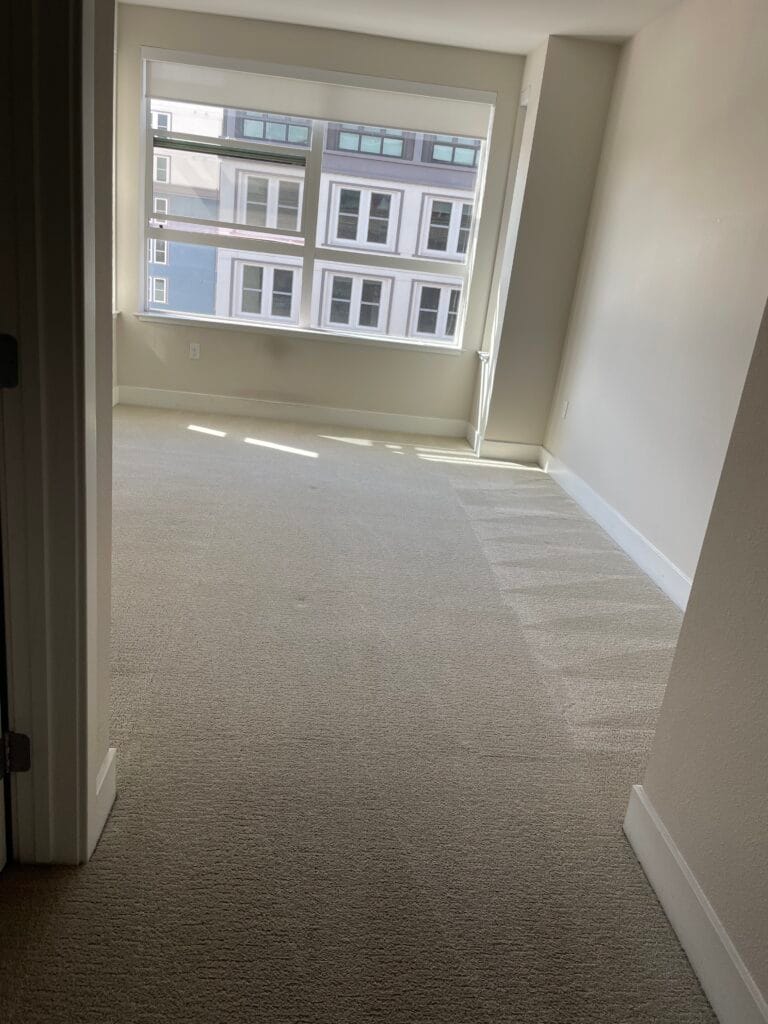 Unfurnished room with beige carpet and white walls, sunlight streaming through a large window overlooking an external building, and a visible door frame on the left. Perfect for those moving out in Santa Clara County who prioritize cleanliness and brightness.