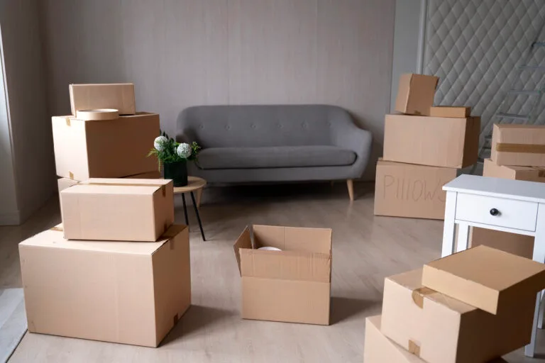 A living room in Los Gatos with a gray sofa, a side table with flowers, and several cardboard moving boxes scattered across the floor—perfect for Property Managers preparing for move-out cleaning.