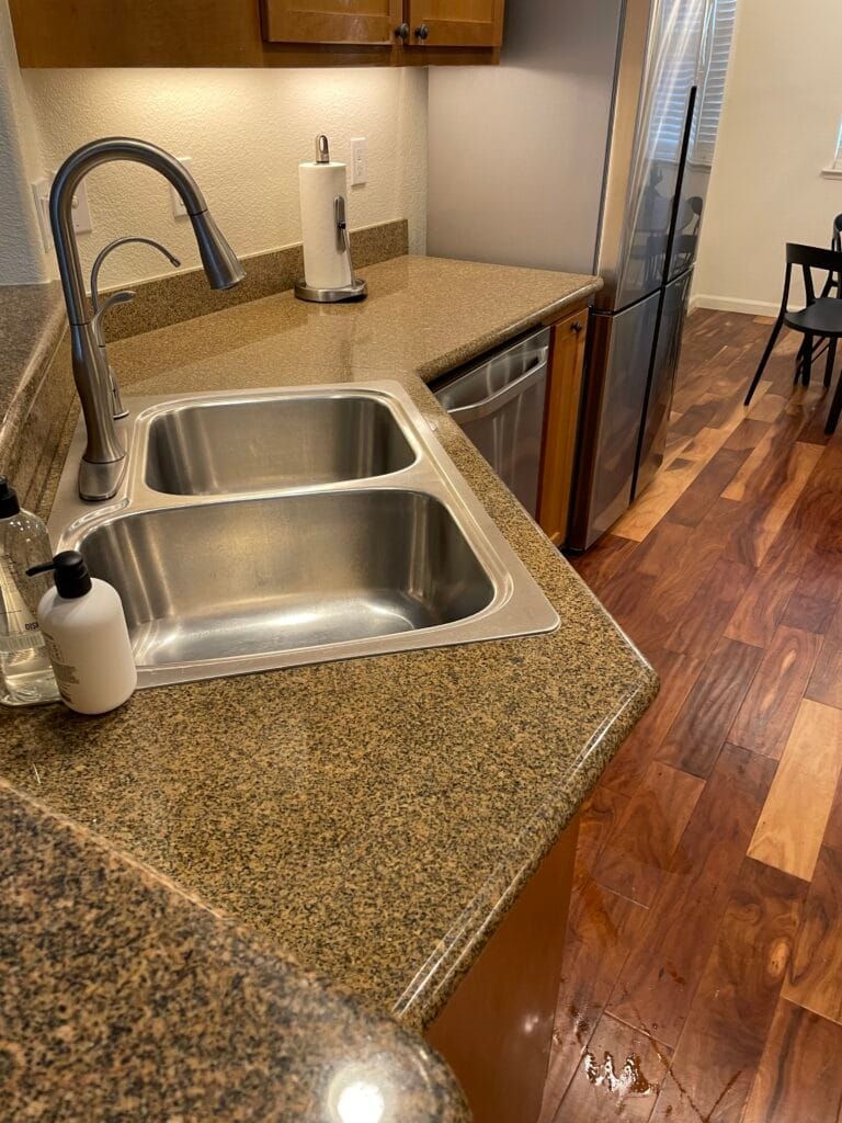 A kitchen counter in Los Gatos with a double sink, soap dispenser, paper towel holder, and stainless steel appliances; water is spilled on the wood floor near the sink—perfect for busy families needing kitchen deep cleaning.